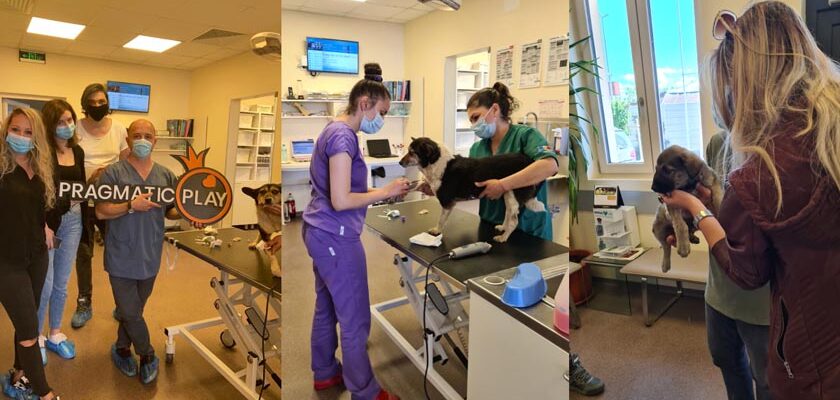 Homeless Animal Hospital v1