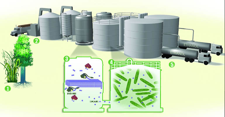 cellulosic ethanol etanol celulozic