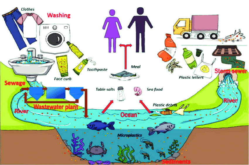 microplastice-poluare-asociatia-respo-4