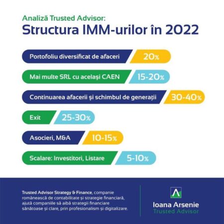 infografic structura IMM-urilor in 2022