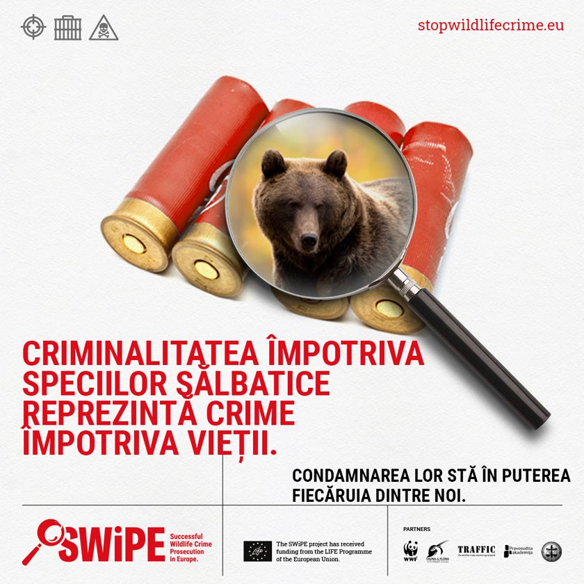 27 mai 2022 WWF România își publică raportul național privind infracționalitatea contra speciilor sălbatice
