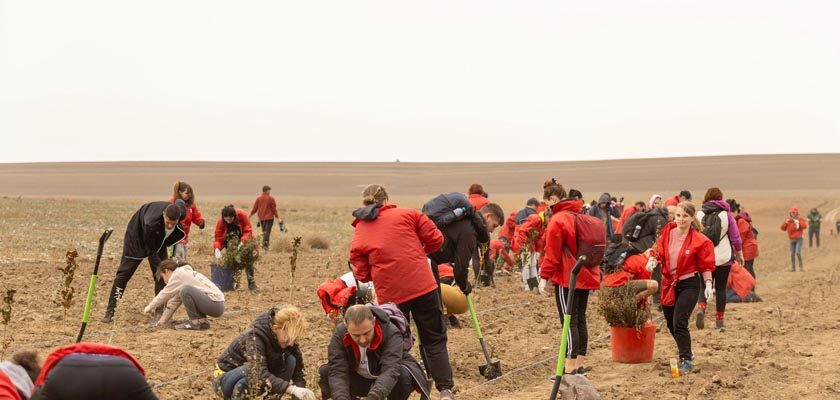 Lucian Mândruță- Mega Image plantează 12.000 de copaci în Crucea, județul Constanța, România 3