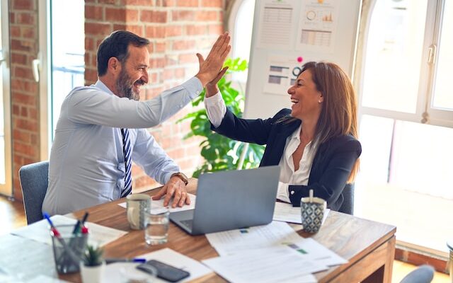vanzari sales business clienti