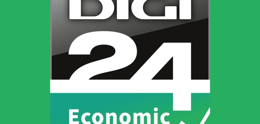 vizual comunicat lansare digieconomic.ro