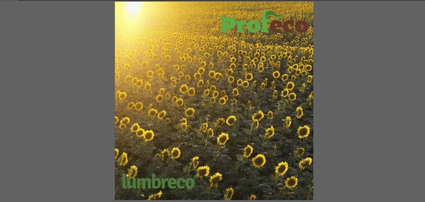 Profeco produsele naturale fertilizare biohumus Lumbreco Fertilizanți 100% organici