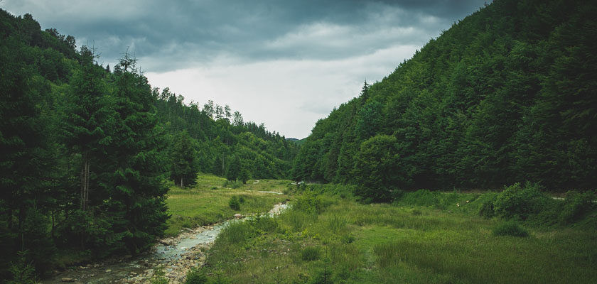 Un Pas Semnificativ în Conservarea Biodiversității- a fost aprobat Planul de Management pentru Situl de Importanță Comunitară ROSCI0285 Codrii Seculari de la Strâmbu Băiuț 1
