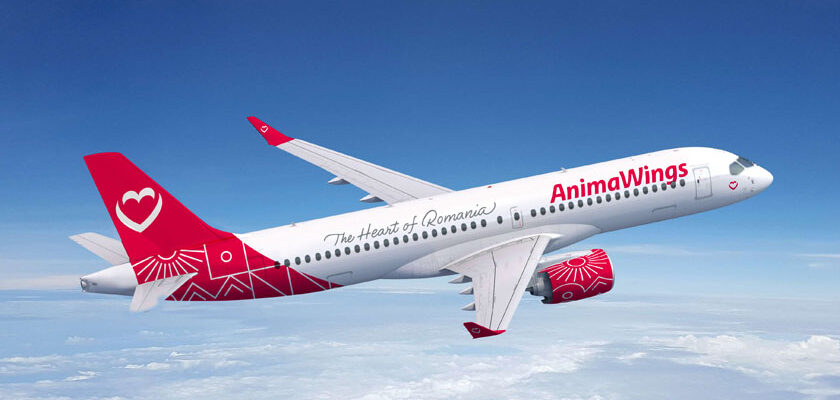 AnimaWings-plane