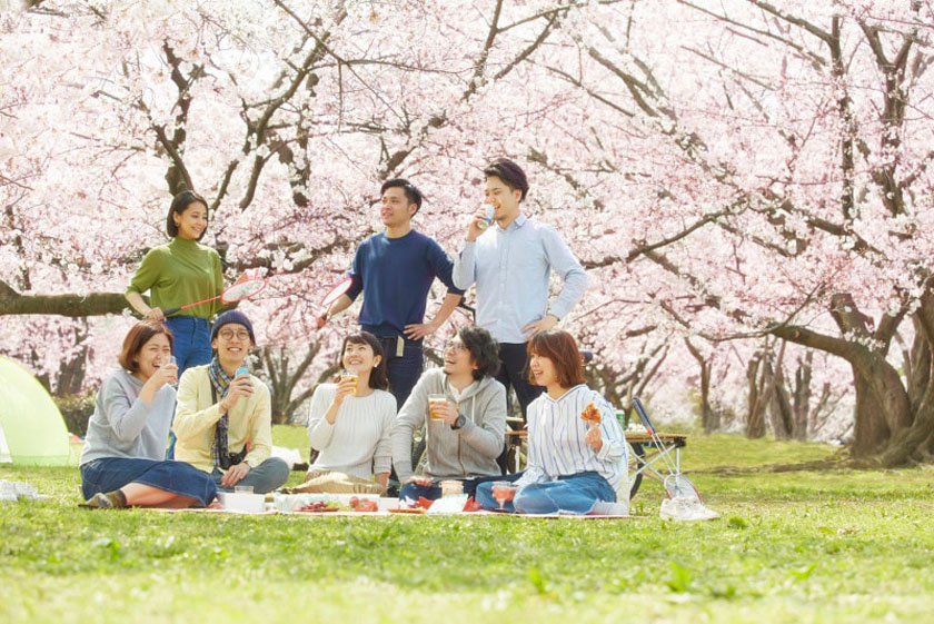 Hanami- Tradiție, Estetică și Sărbătoare 27 martie în Japonia e Ziua Florilor de Cireș 2