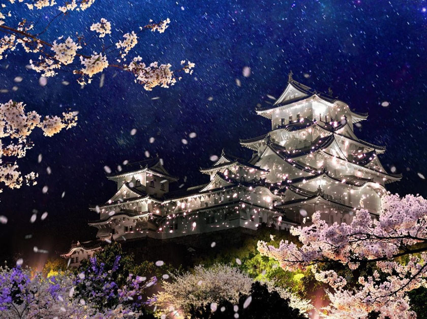 Hanami- Tradiție, Estetică și Sărbătoare 27 martie în Japonia e Ziua Florilor de Cireș 5