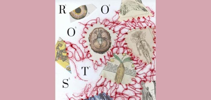 ROOTS - ateliere, conferințe Open Studio