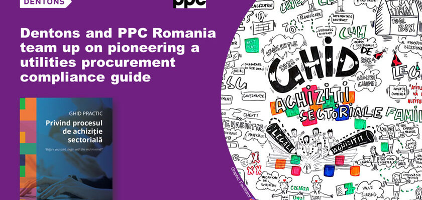 PPC Dentons Ghid