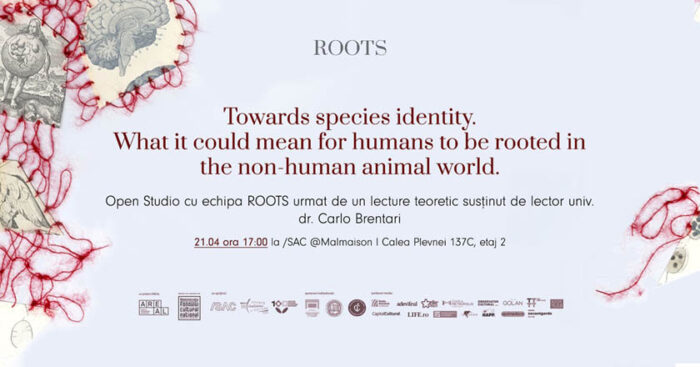 roots ateliere gratuite