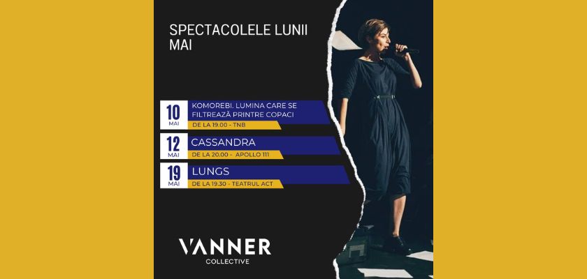 Vanner Collective