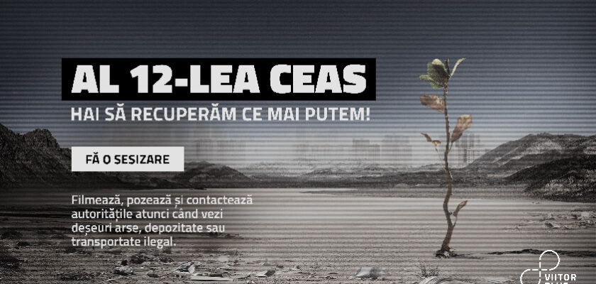 Al 12-lea ceas - Viitor Plus