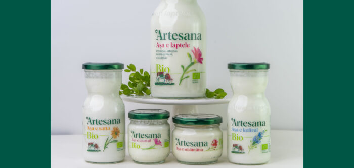 Artesana Puterea-alimentelor-neprocesate-pentru-un-stil-de-viata-sanatos cover ZP