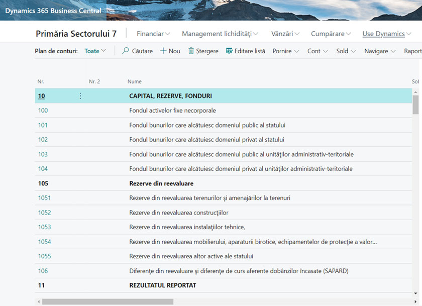 Business-Central-Plan-de-conturi-institutii-publice_ELIAN