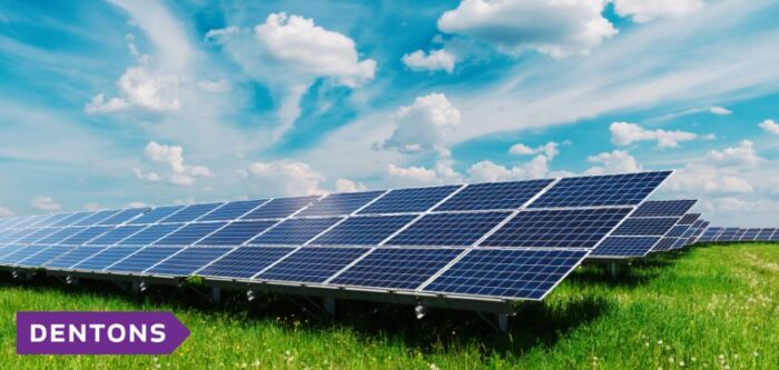 energie, parc fotovoltaic