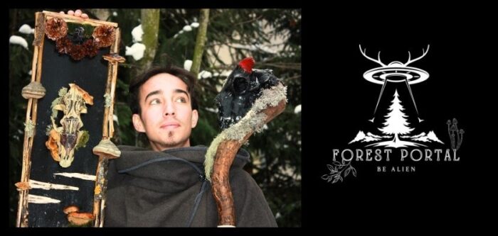 Forest Portal Călătorie Artistică în Inima Naturii cu Șerban David