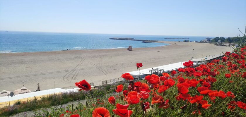 Plaja mărită - Eforie Sud 1