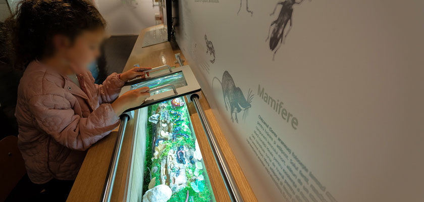 Expozitie interactiva_foto_Asociatia de Ecoturism