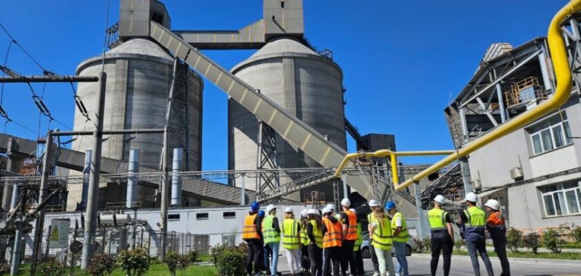 Top 50 Companii din România în 2023 Clasament după Cifra de Afaceri-Termene.ro