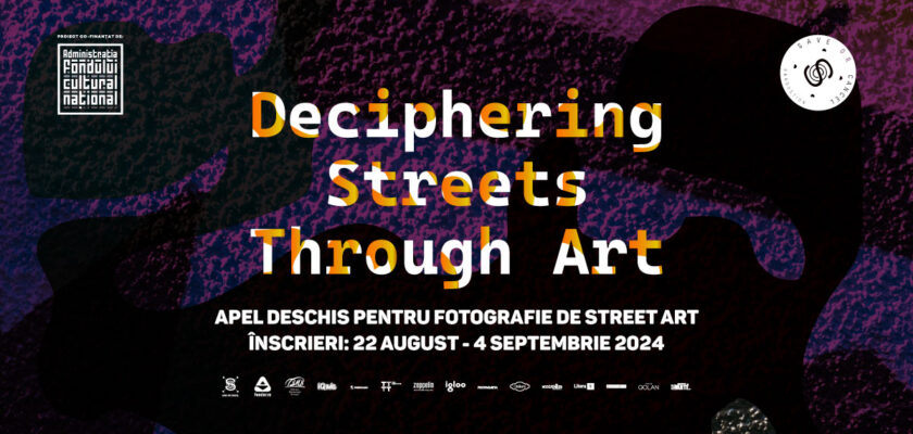 2024 DSTA apel deschis_SEO