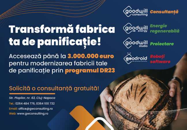 Transformarea sectorului de panificație cu fonduri europene PNS DR23 Goodwill Consulting