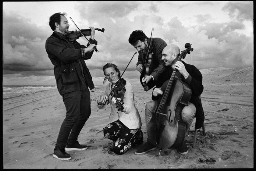 2. North Sea String Quartet - royalty free, please mention photo by Federico Castelli