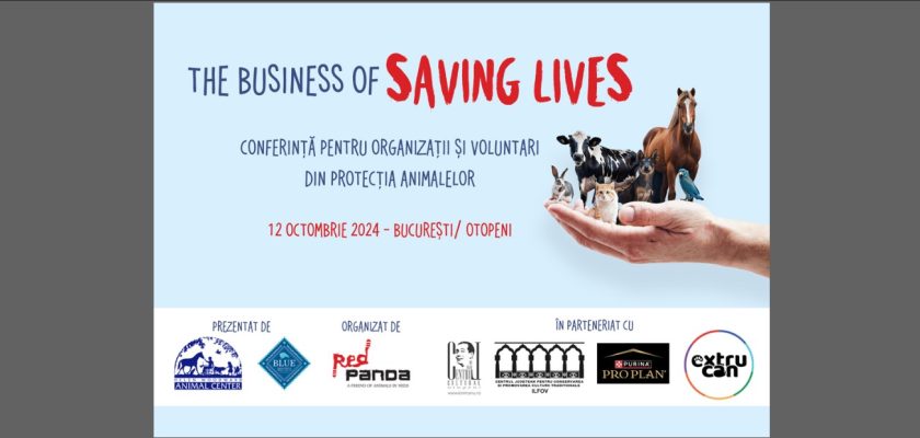 Asociația Red Panda The Business of Saving Lives ZP