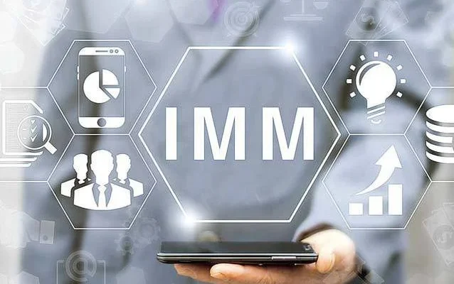 IMM afaceri companii