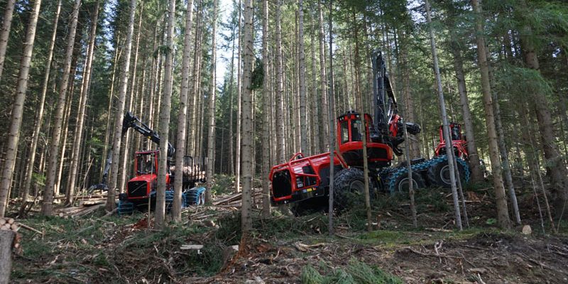 Asociația Forestierilor din România ASFOR își reafirmă angajamentul ferm față de susținerea procesului de modernizare și dezvoltare sustenabilă a sectorului forestier național, salu
