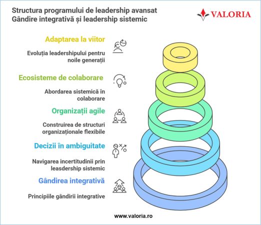 Gândire integrativă și leadership sistemic_1