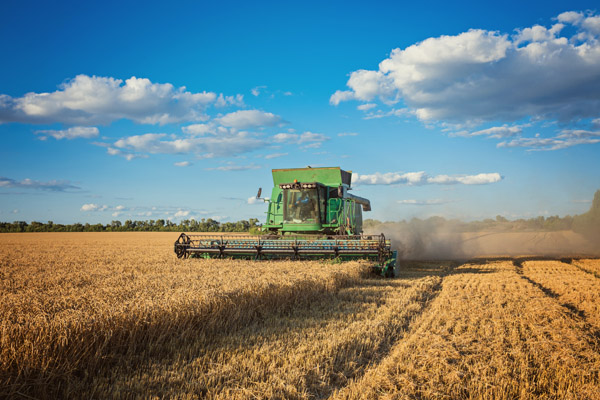 agricultura