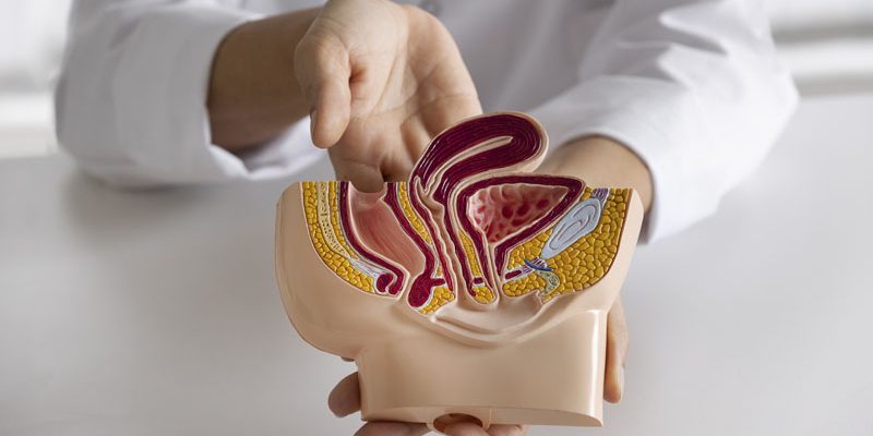 Grupul Medical Nord atrage atenția asupra ratei scăzute de screening pentru cancerul colorectal în România și oferă soluții moderne prin chirurgie robotică, cu ocazia Zilei Mondiale