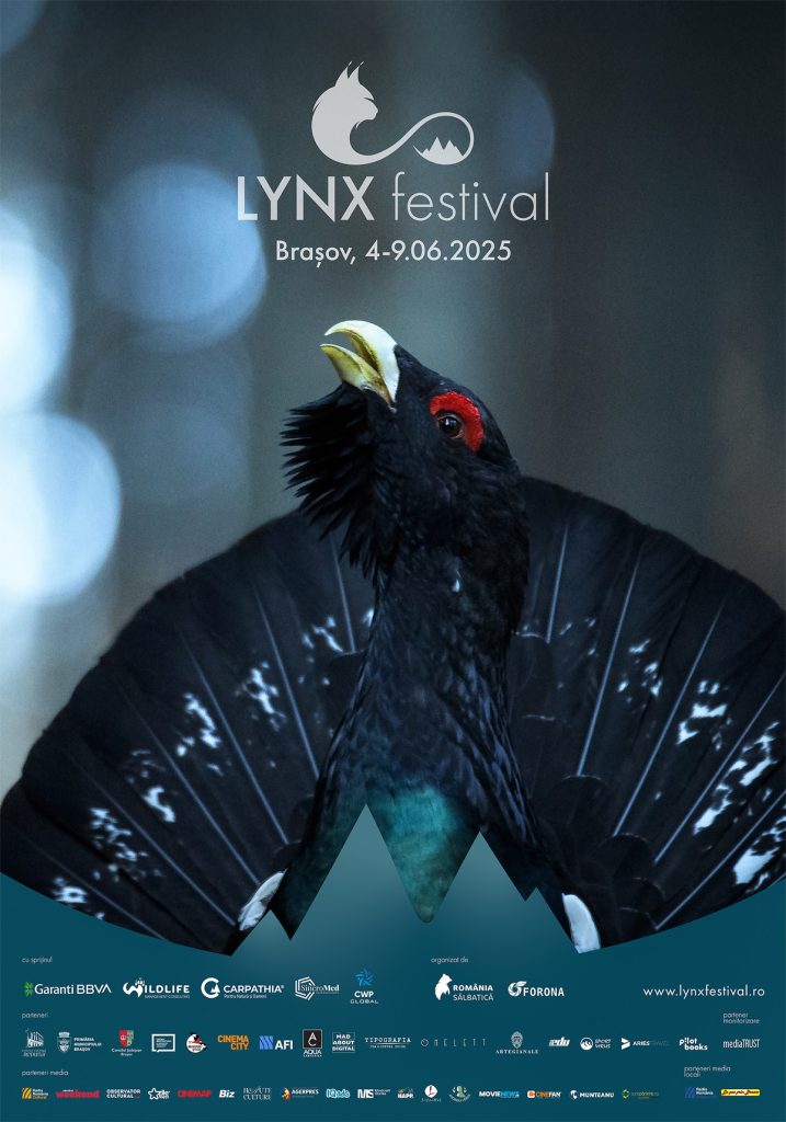 LYNX Festival 2025