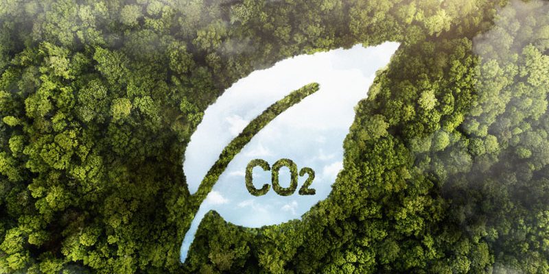 România devine lider european în captarea carbonului