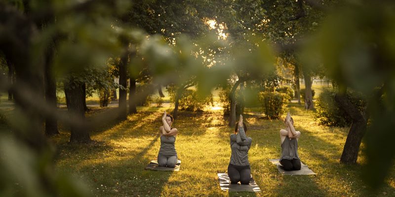retreat România 2025, retreat vară, dezvoltare personală, retreat spiritual, detox holistic, Shaolin Self Mastery, Maestrul Shi Heng Yi, retreat femei, Fiicele Soarelui, Holistic Restart, Retreat Wisdom, Createrra, Marius Spiridon, nutriție conștientă, Youness Clinic Covasna, retreat Câmpulung Muscel,