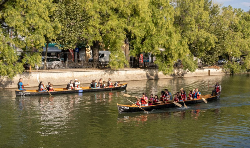 Dâmbovița Delivery