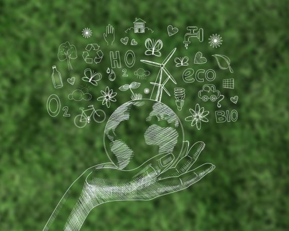 acțiuni de ecologizare iunie 2025, evenimente ecologice România, Ziua Mondială a Mediului 2025, protecția mediului România, educație ecologică, voluntariat de mediu, Ziua Dunării, energie solară România, plantare copaci, comunități sustenabile