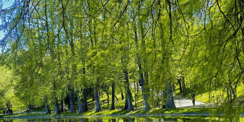 Parcul IOR în pericol Comunitatea acuză Primăria Sectorului 3 de o falsă consultare publică