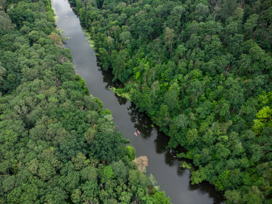 Plantio-100, Brazilia, robot AI, reîmpădurire Amazon, inteligență artificială ecologică