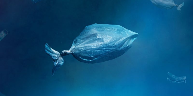 Plasticul care se dizolvă în mare Inovație japoneză împotriva poluării globale