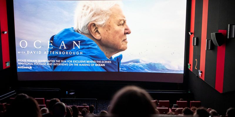 Proiecția Ocean de la Cinema City AFI Brașov, 6 iunie (photocredit Daniel Hașiegan)