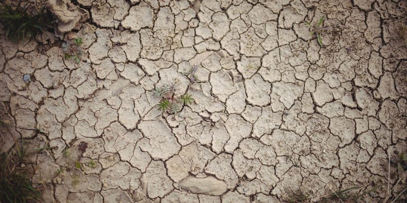 Ziua Mondială a Deșertificării ONU lansează un mesaj viral pentru restaurarea planetei, în timp ce România simte deja efectele