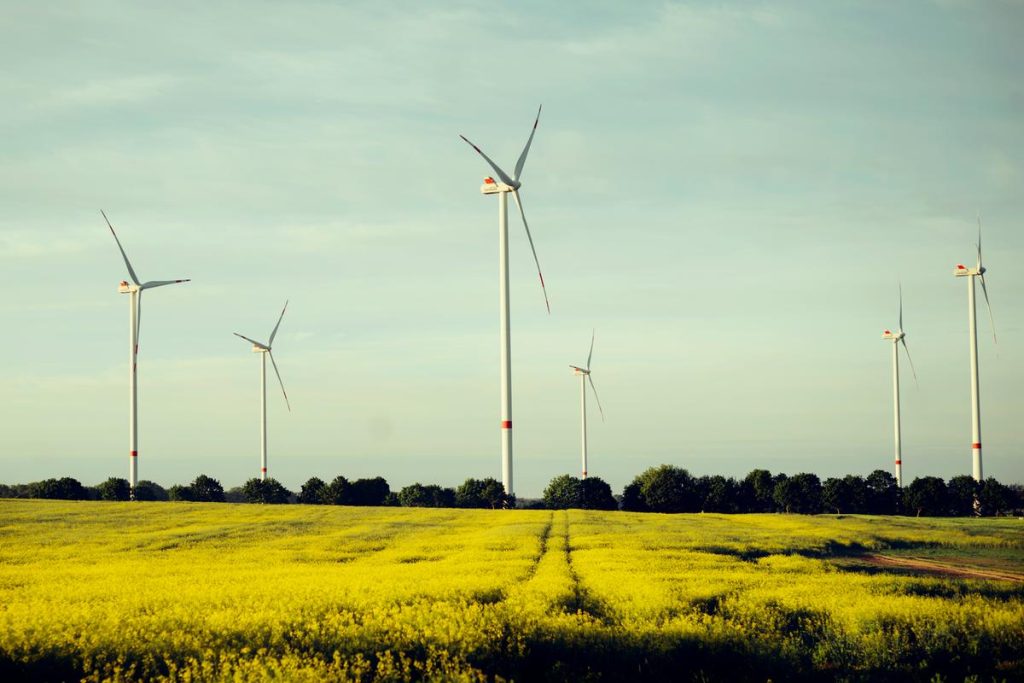 2_proiecte eoliene energie eoliana verde regenerabila