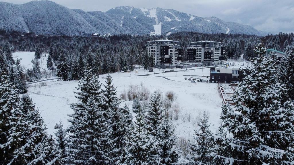 BIBI Touroperator oferte iarnă Poiana Brasov