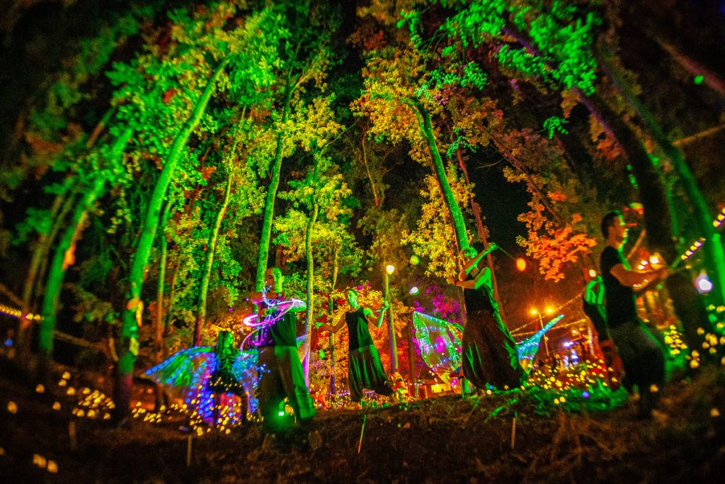 CODRU Festival 2025 1