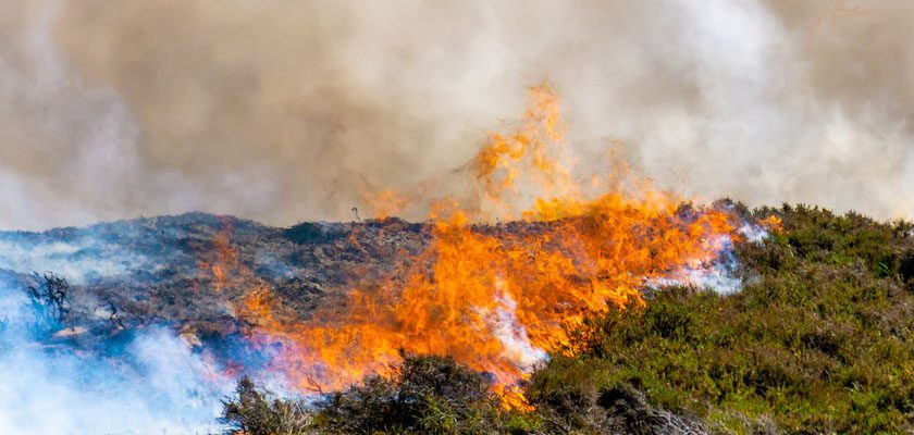Schimbările climatice și impactul lor direct între percepții și realitate