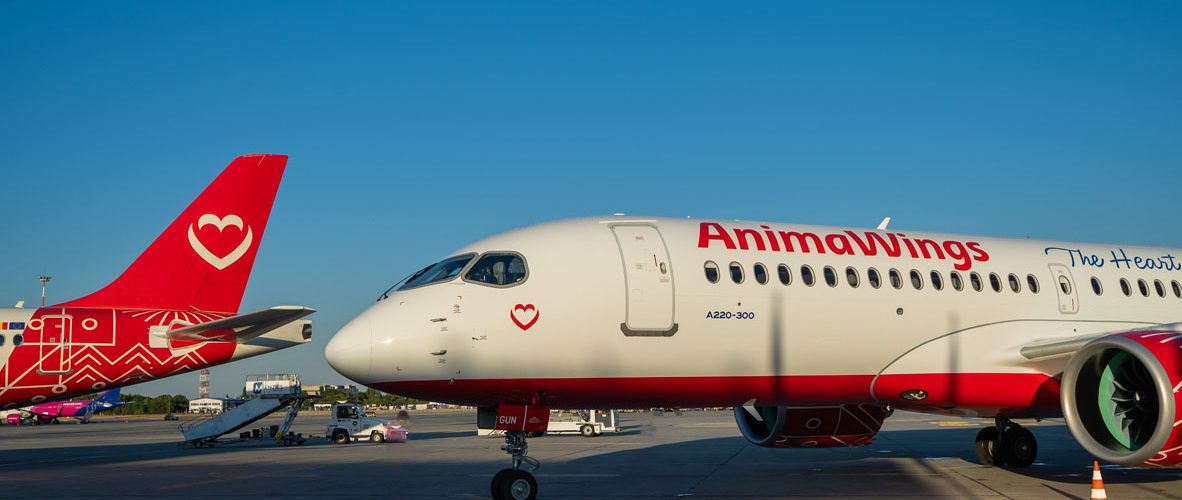 AnimaWings