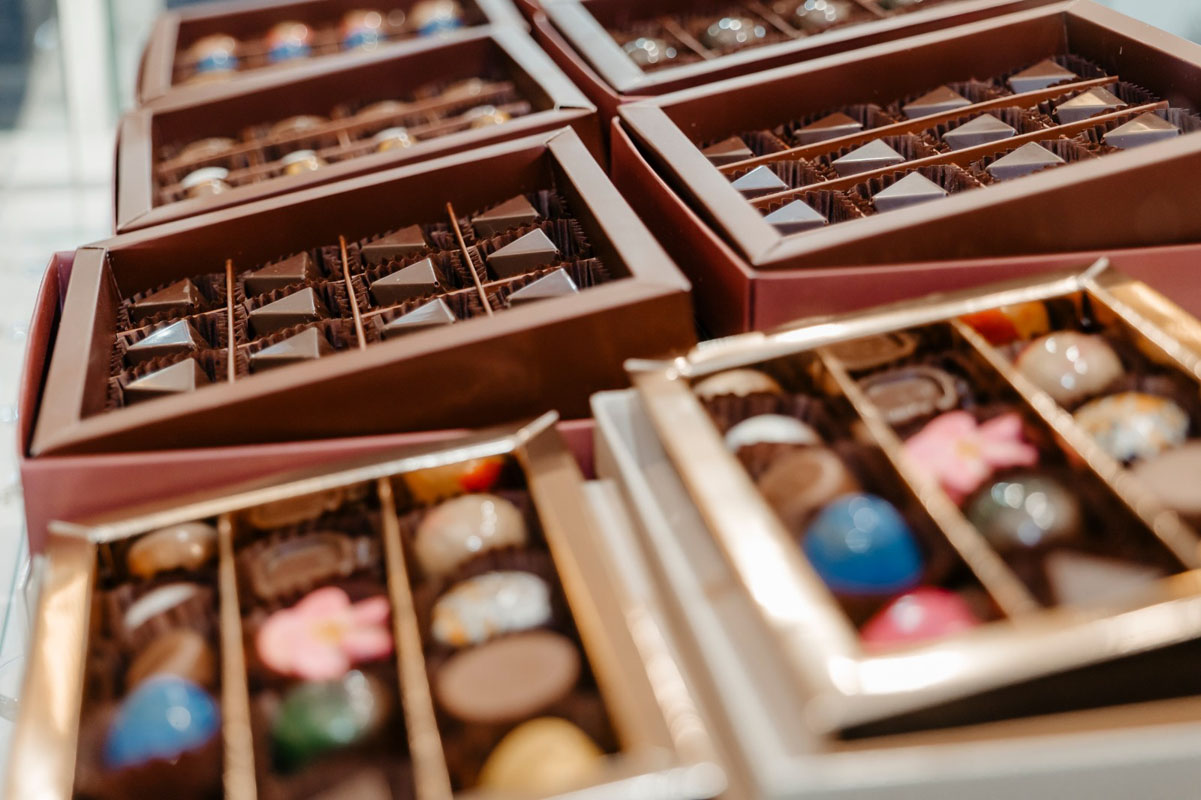 Chocolate Saga